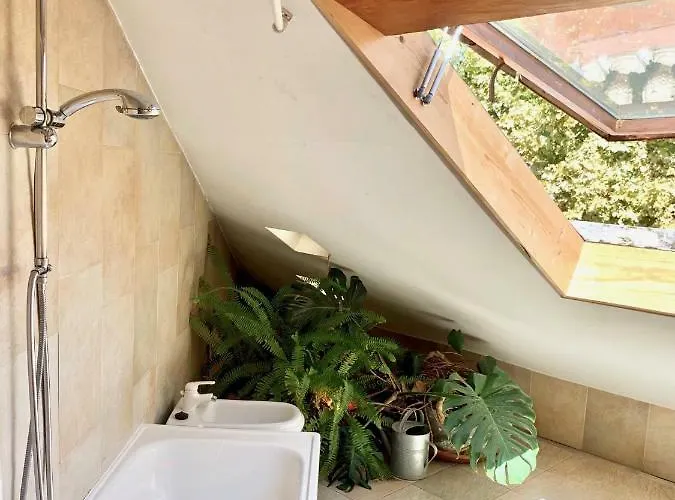 Penthouse With A View In The Centre *