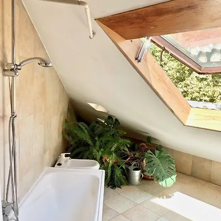 Penthouse With A View In The Centre *