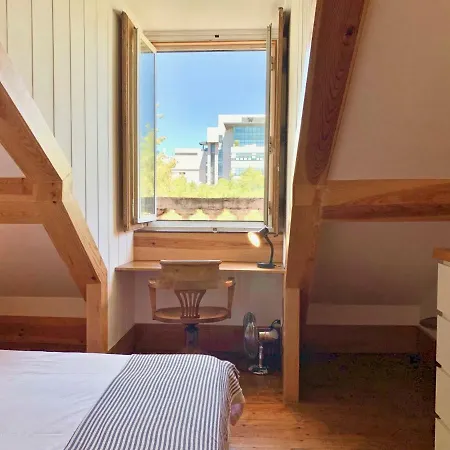 市中心美景顶层公寓 *